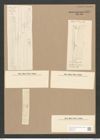 Synedra affinis var. tabulata (Ag.) V. H. (de-Toni-Nr.: Genus 66, Species 2607) Zeichnungen Sammlung Grunow Nr. 5339 (NHMW-BOT-W0373743)